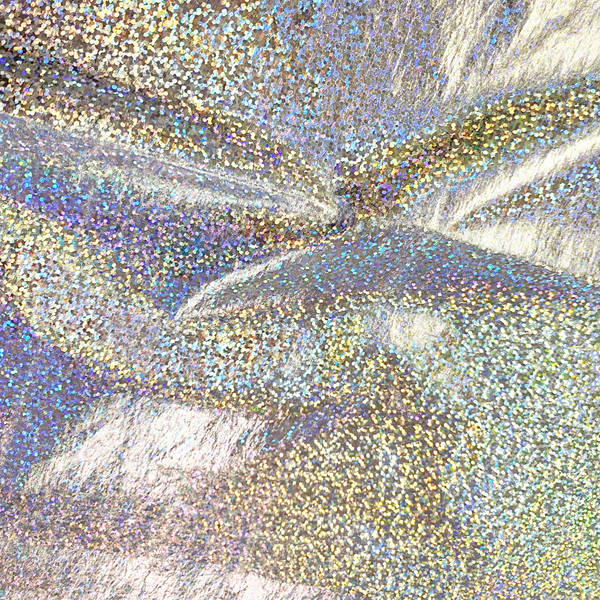 【入荷未定】STANDARD BAGGU メタリックホログラム