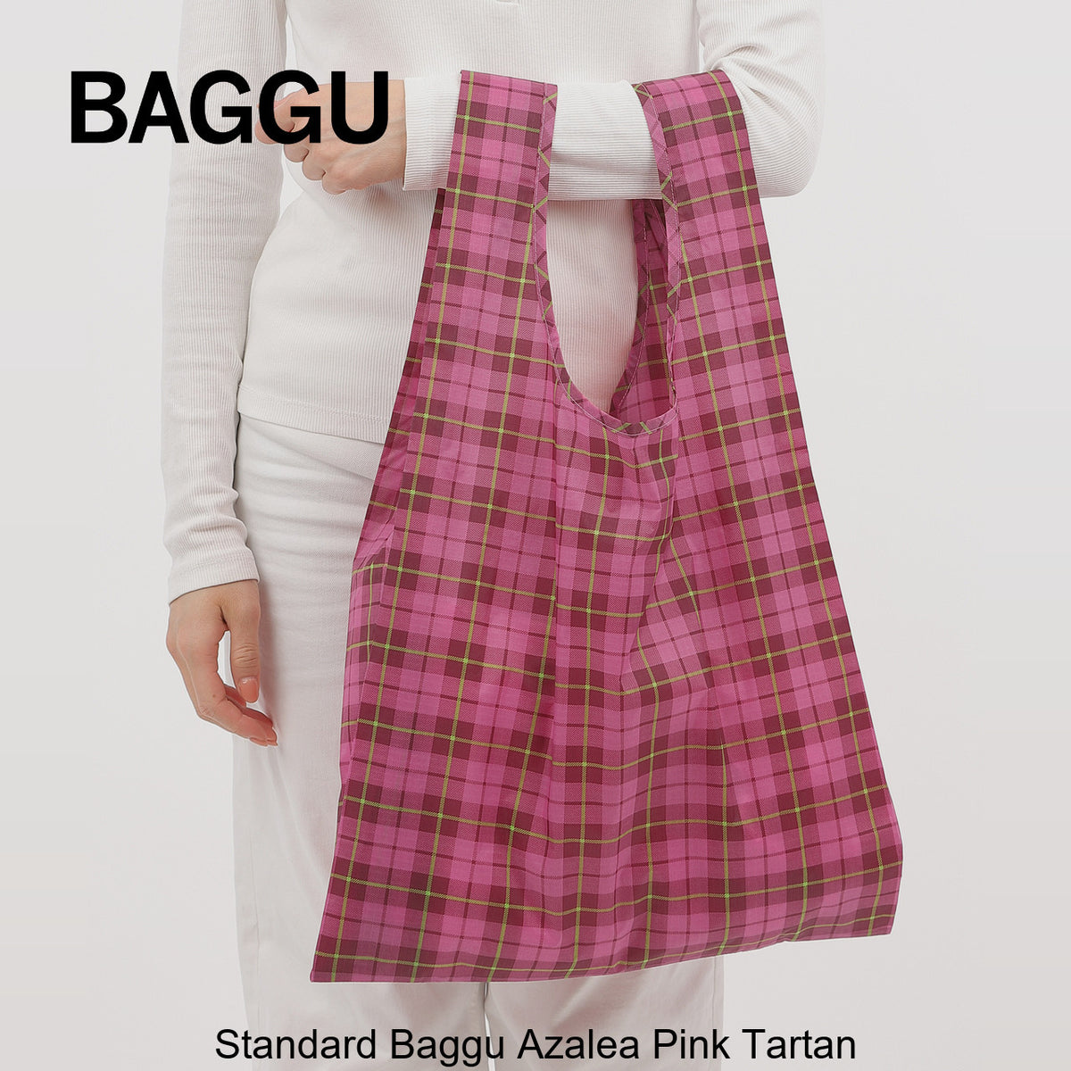 STANDARD BAGGU ピンクタータン 持った時のサイズ感