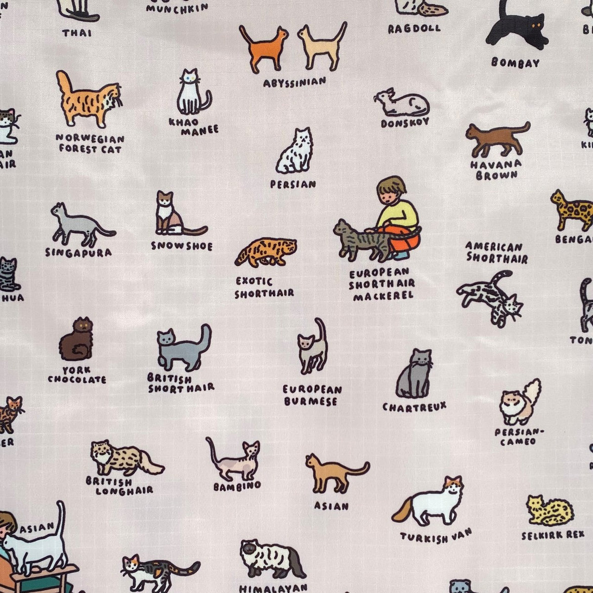 BABY BAGGU CAT（GRAPHIC DICTIONARY） 商品画像 2