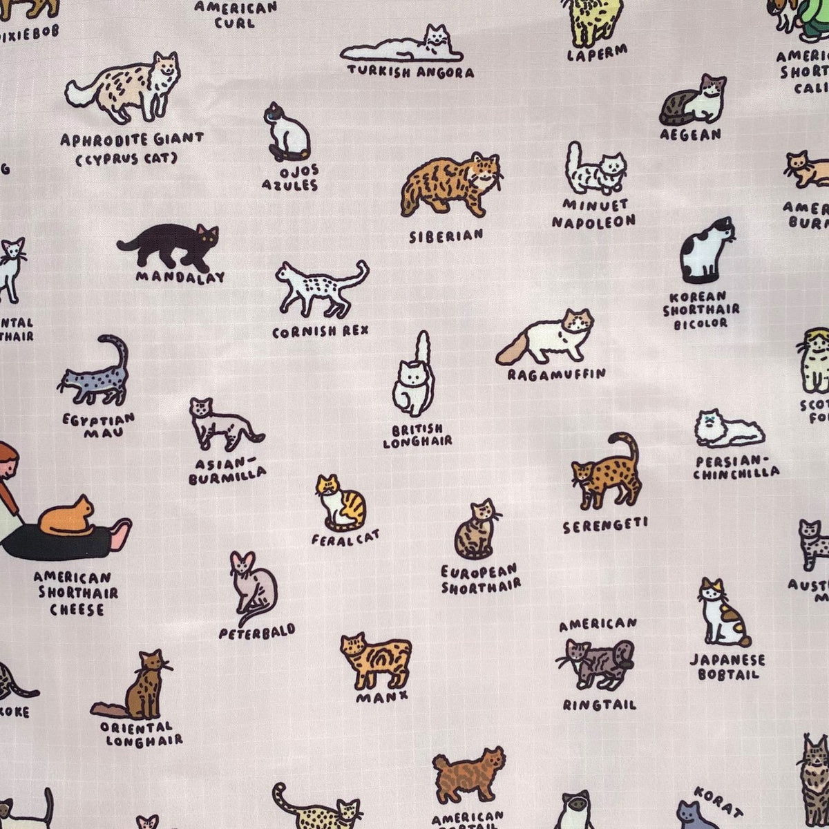 BABY BAGGU CAT（GRAPHIC DICTIONARY） 商品画像 4