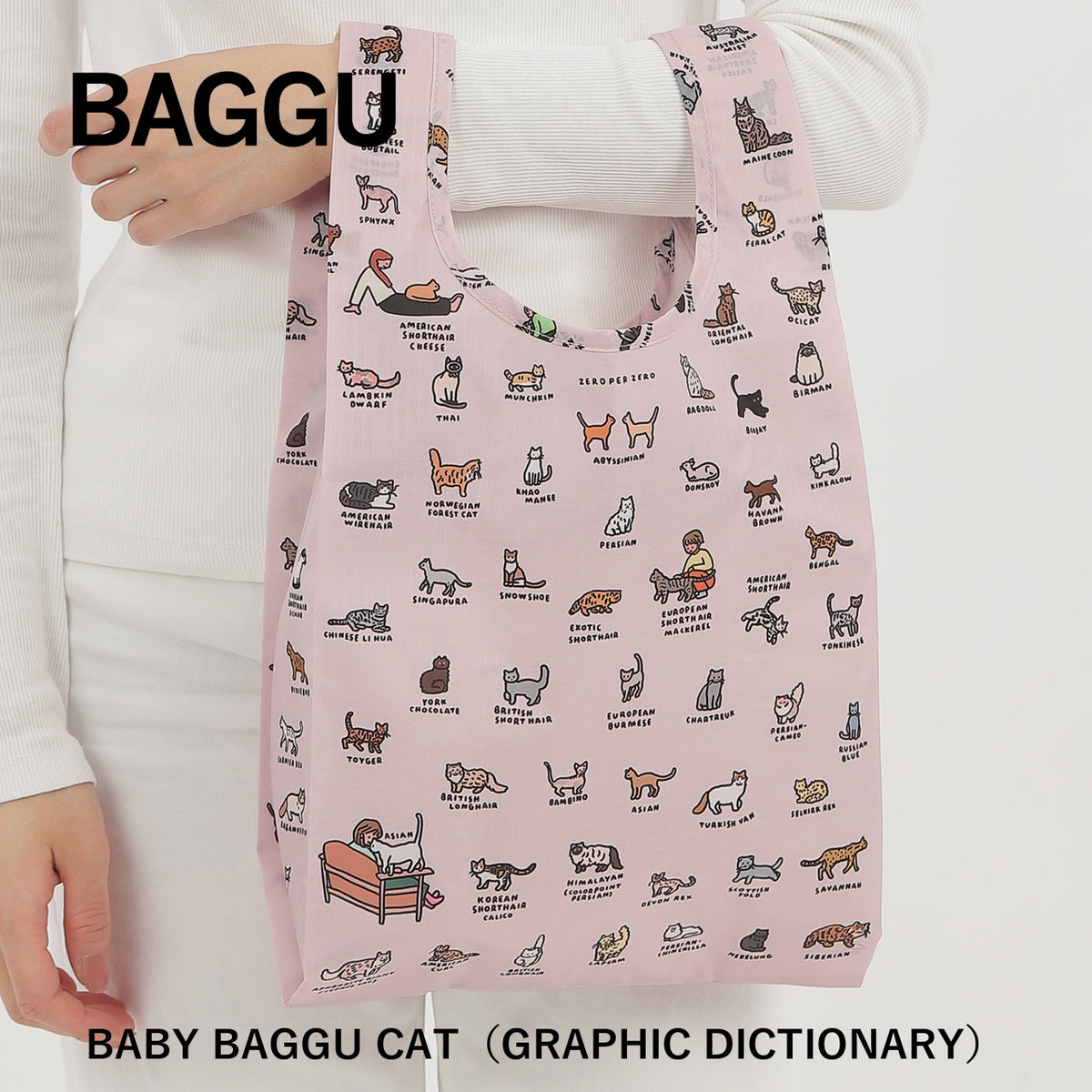BABY BAGGU CAT（GRAPHIC DICTIONARY） 商品画像 5