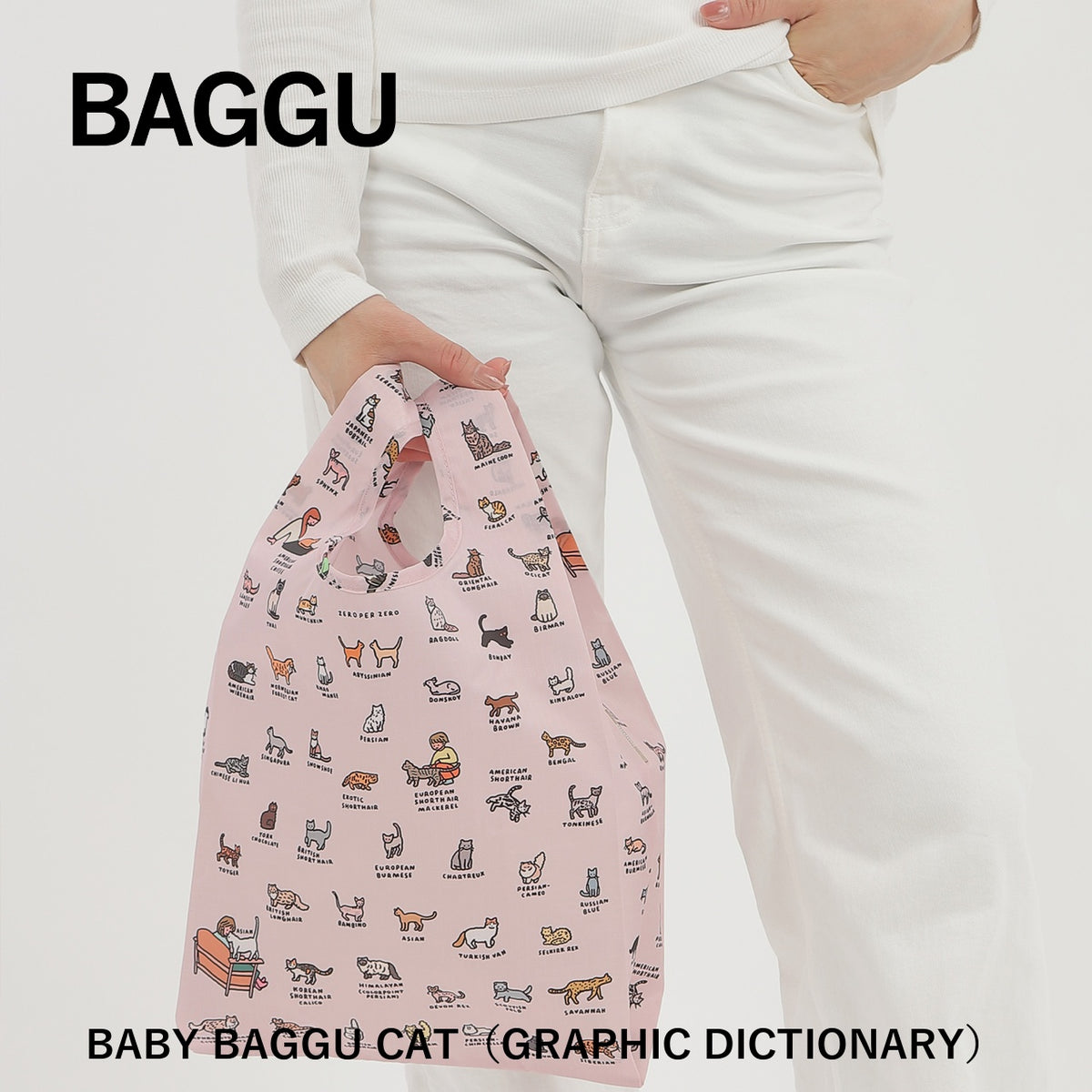 BABY BAGGU CAT（GRAPHIC DICTIONARY） 商品画像 6