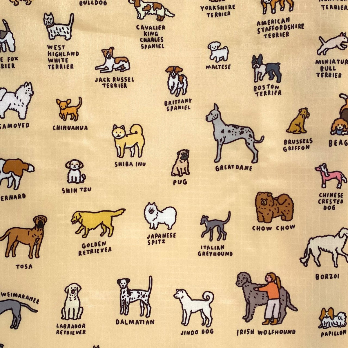 BABY BAGGU DOG（GRAPHIC DICTIONARY） 商品画像 2