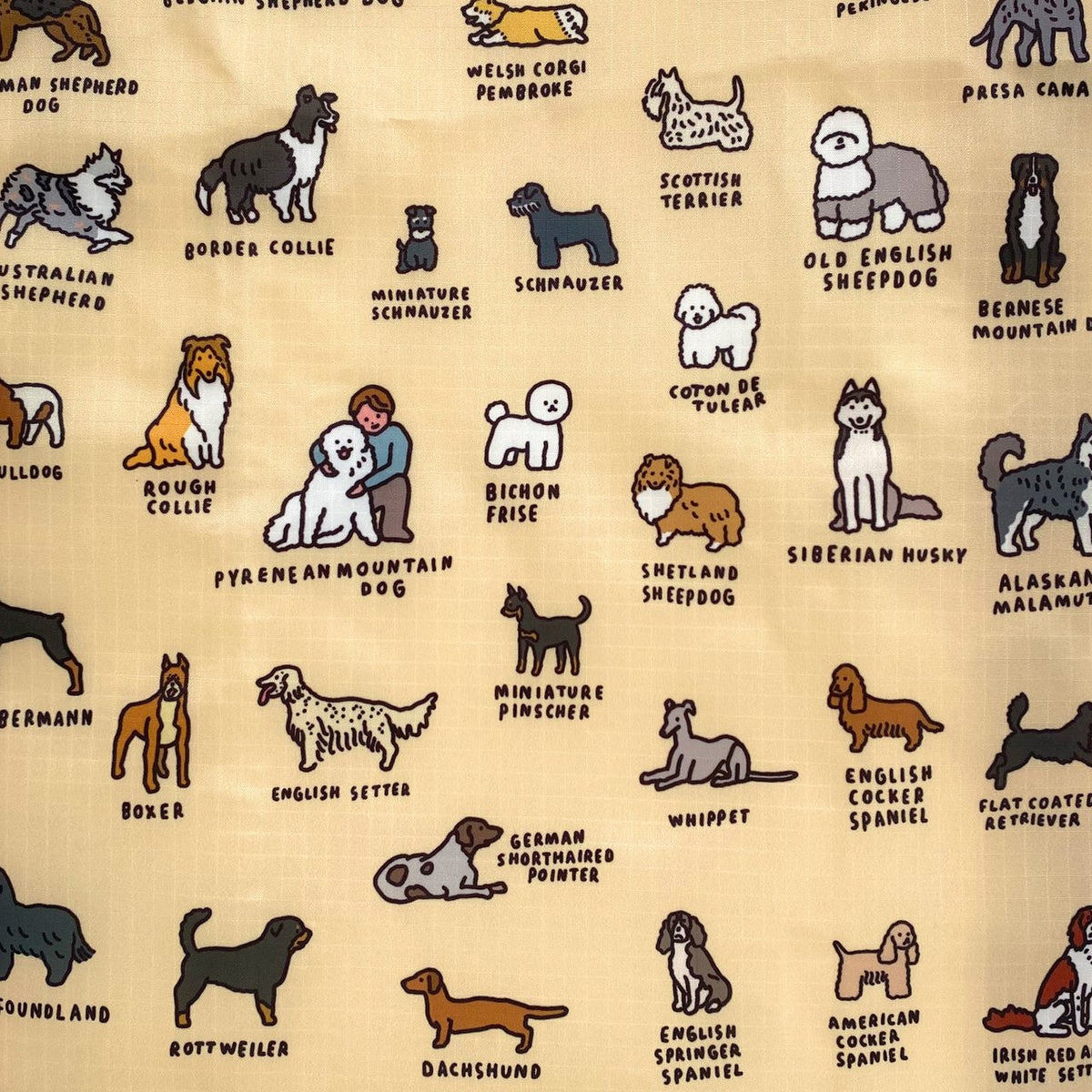 BABY BAGGU DOG（GRAPHIC DICTIONARY） 商品画像 4