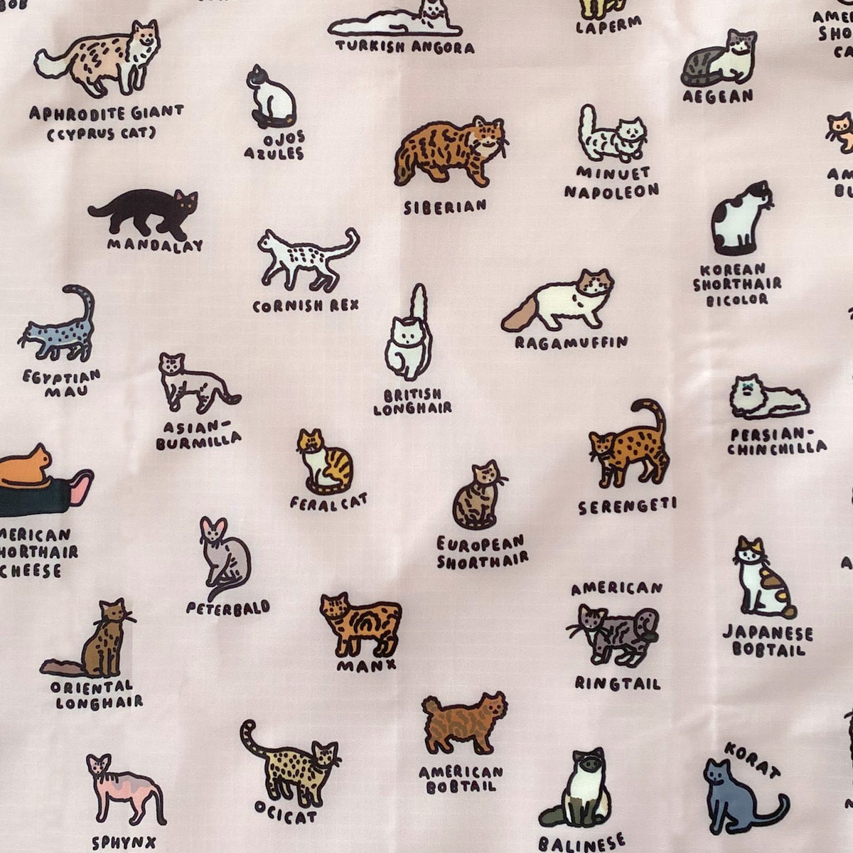 STANDARD BAGGU CATS ＜ZERO PRE ZERO＞ 商品画像 2