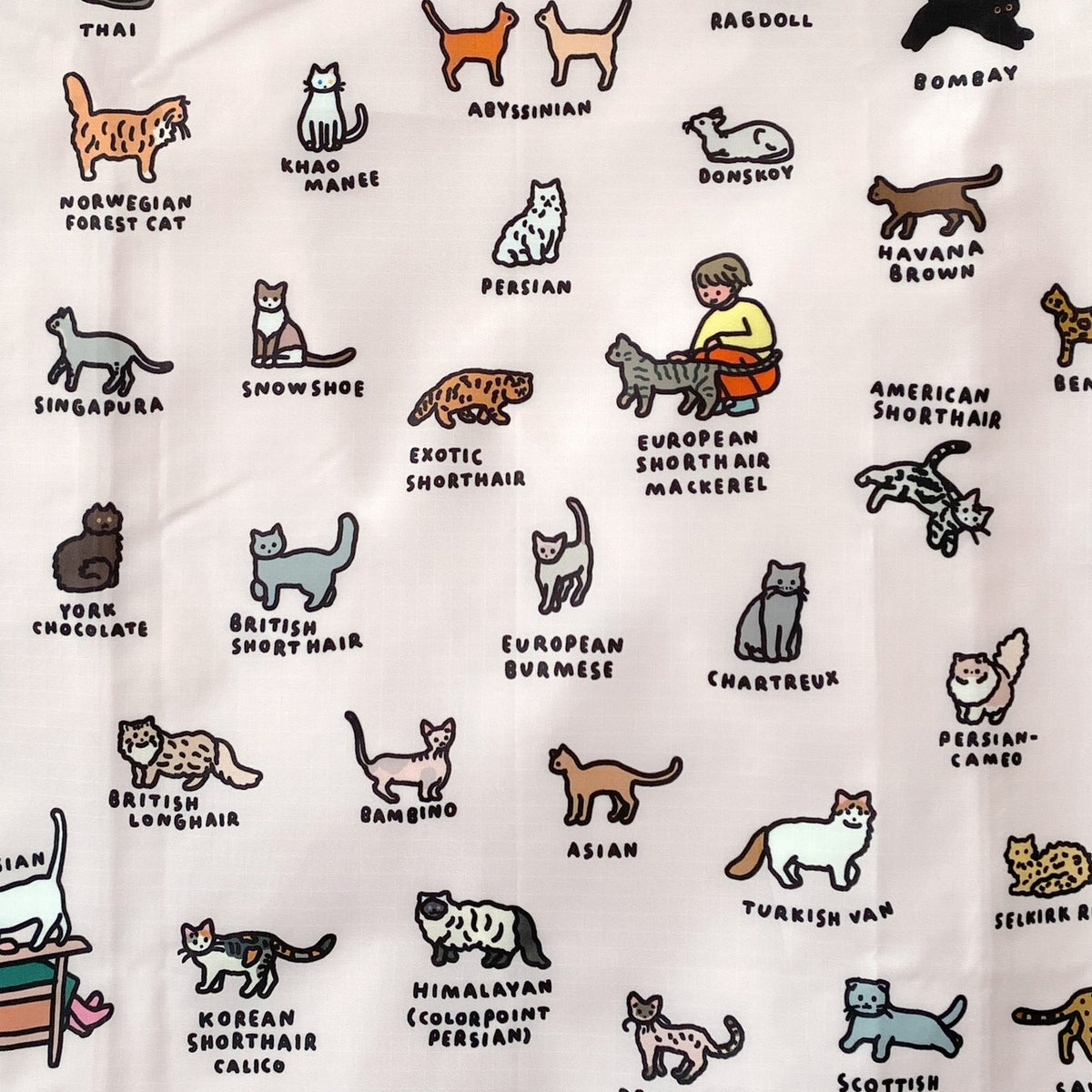 STANDARD BAGGU CATS ＜ZERO PRE ZERO＞ 商品画像 4